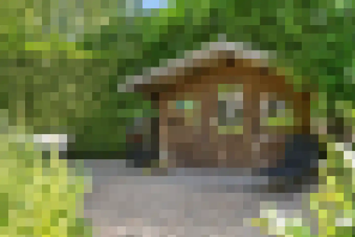 Heilige Stoel 6806 Wijchen thumbnail 39