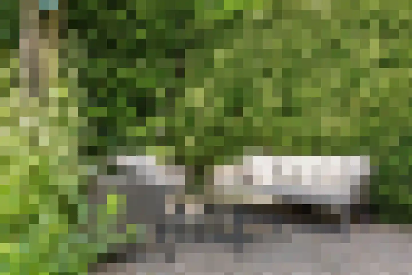 Heilige Stoel 6806 Wijchen thumbnail 40