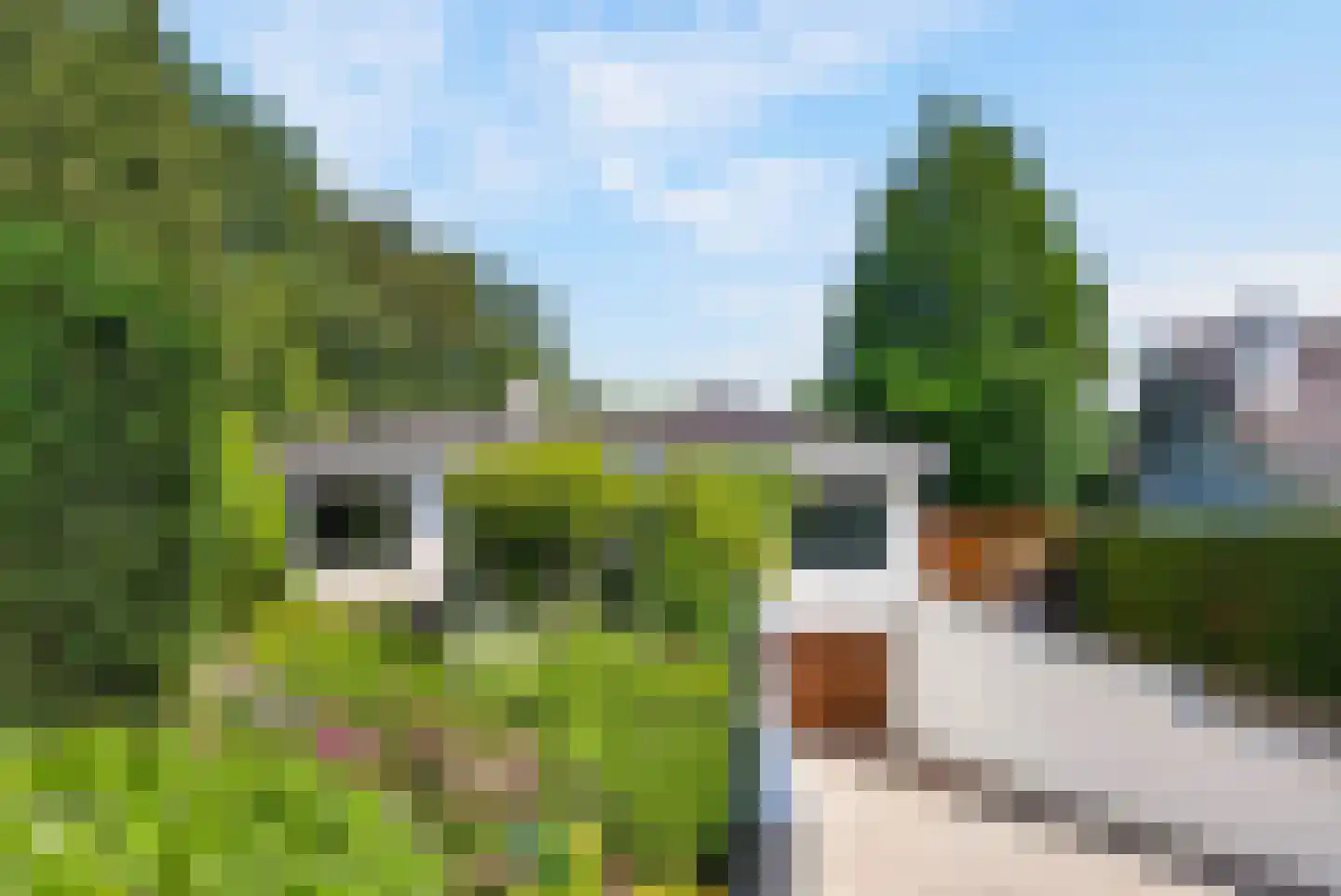 Heilige Stoel 6806 Wijchen thumbnail 45