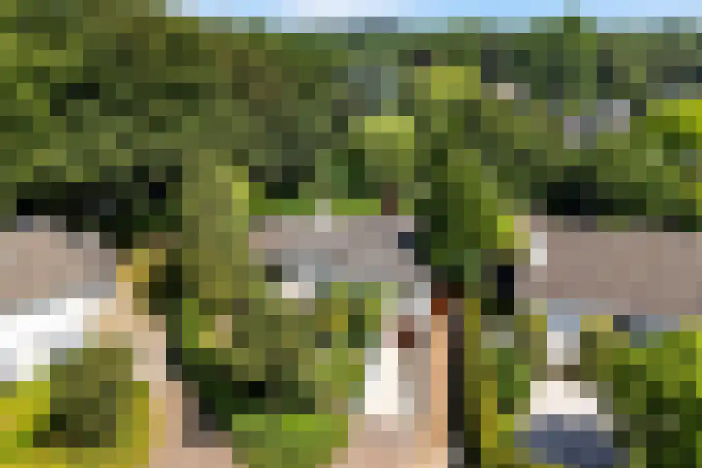 Heilige Stoel 6806 Wijchen thumbnail 46