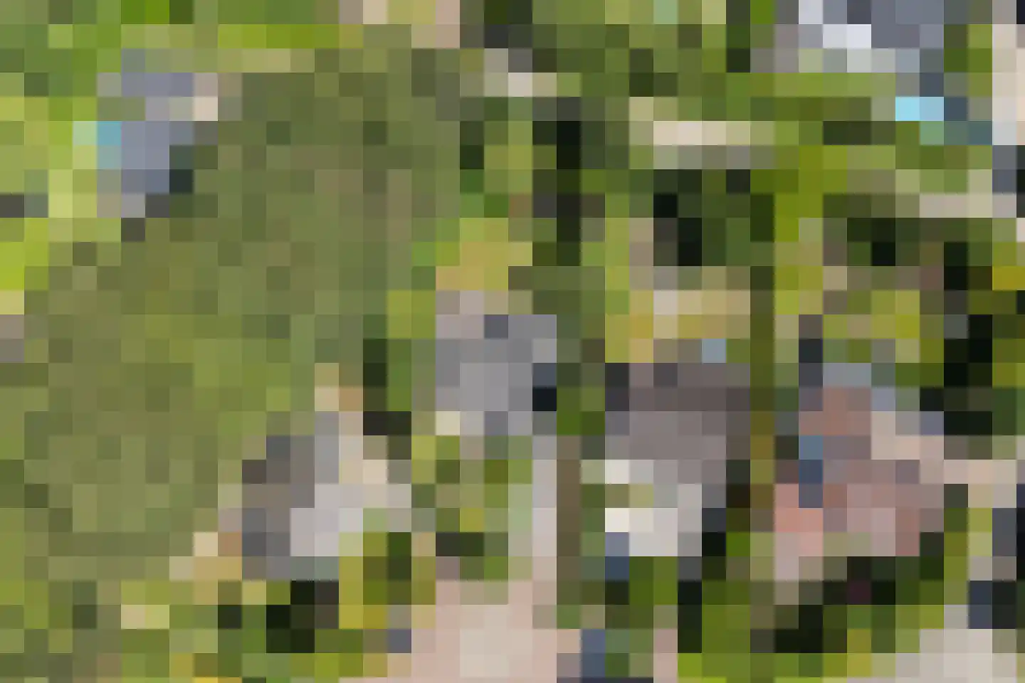 Heilige Stoel 6806 Wijchen thumbnail 49