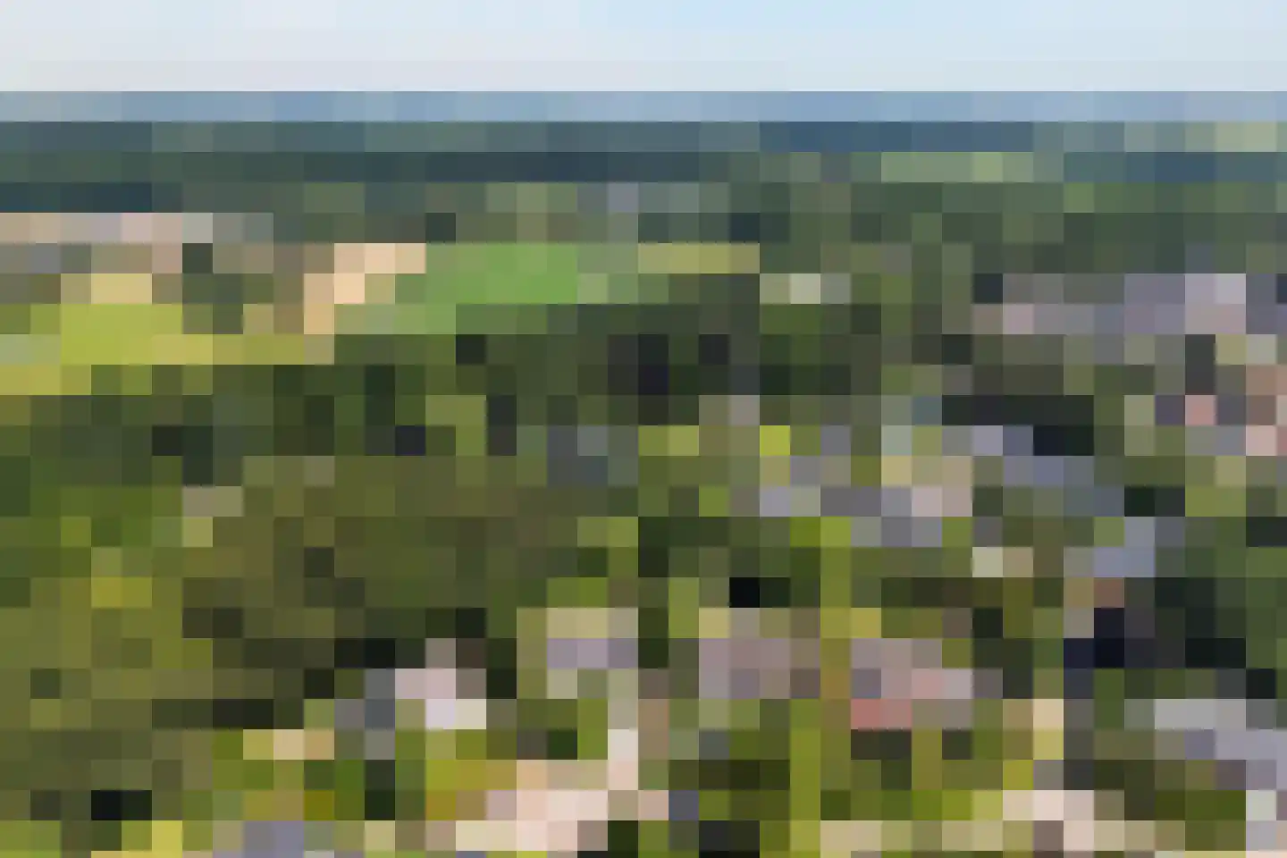 Heilige Stoel 6806 Wijchen thumbnail 50