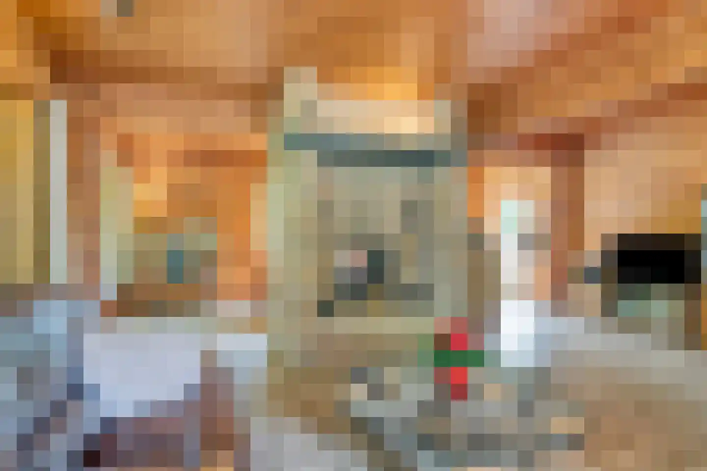 Heilige Stoel 6829 Wijchen thumbnail 13