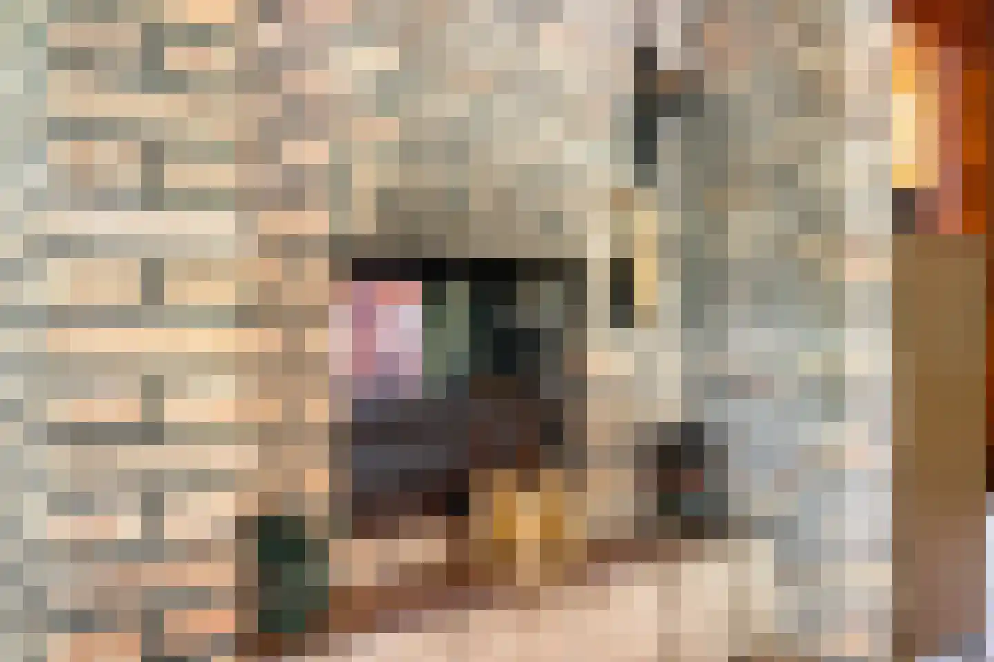 Heilige Stoel 6829 Wijchen thumbnail 14