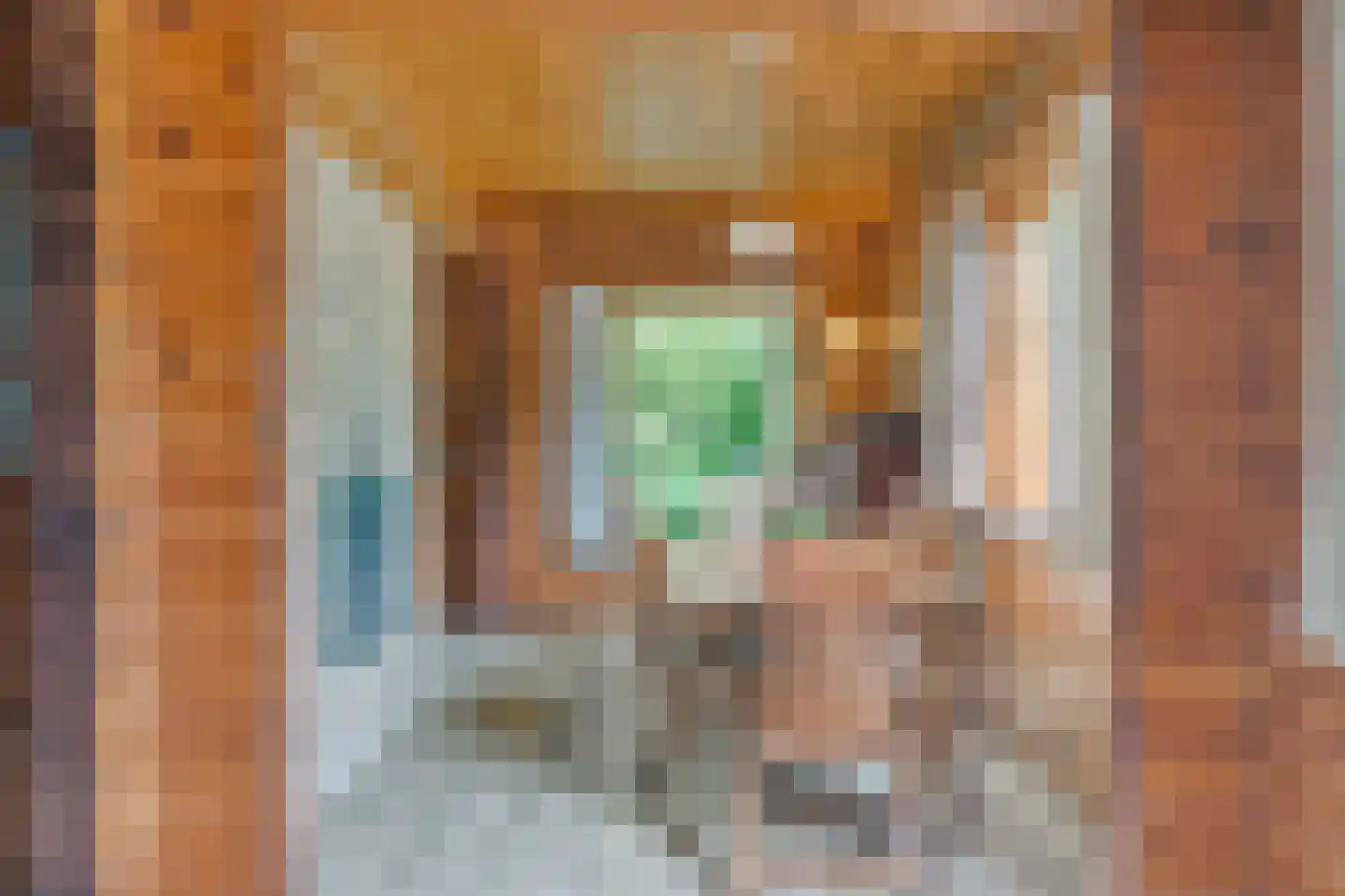 Heilige Stoel 6829 Wijchen thumbnail 16