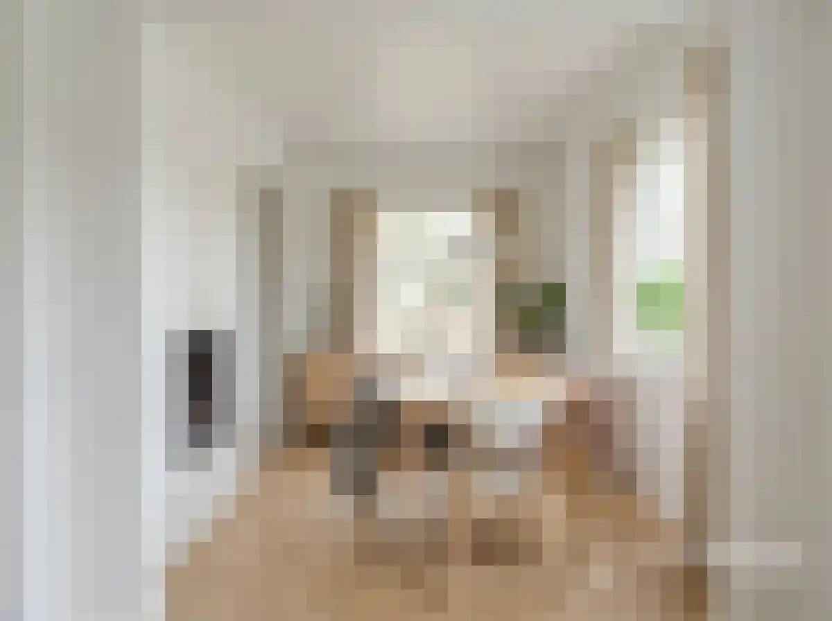 Heilige Stoel 6829 Wijchen thumbnail 17