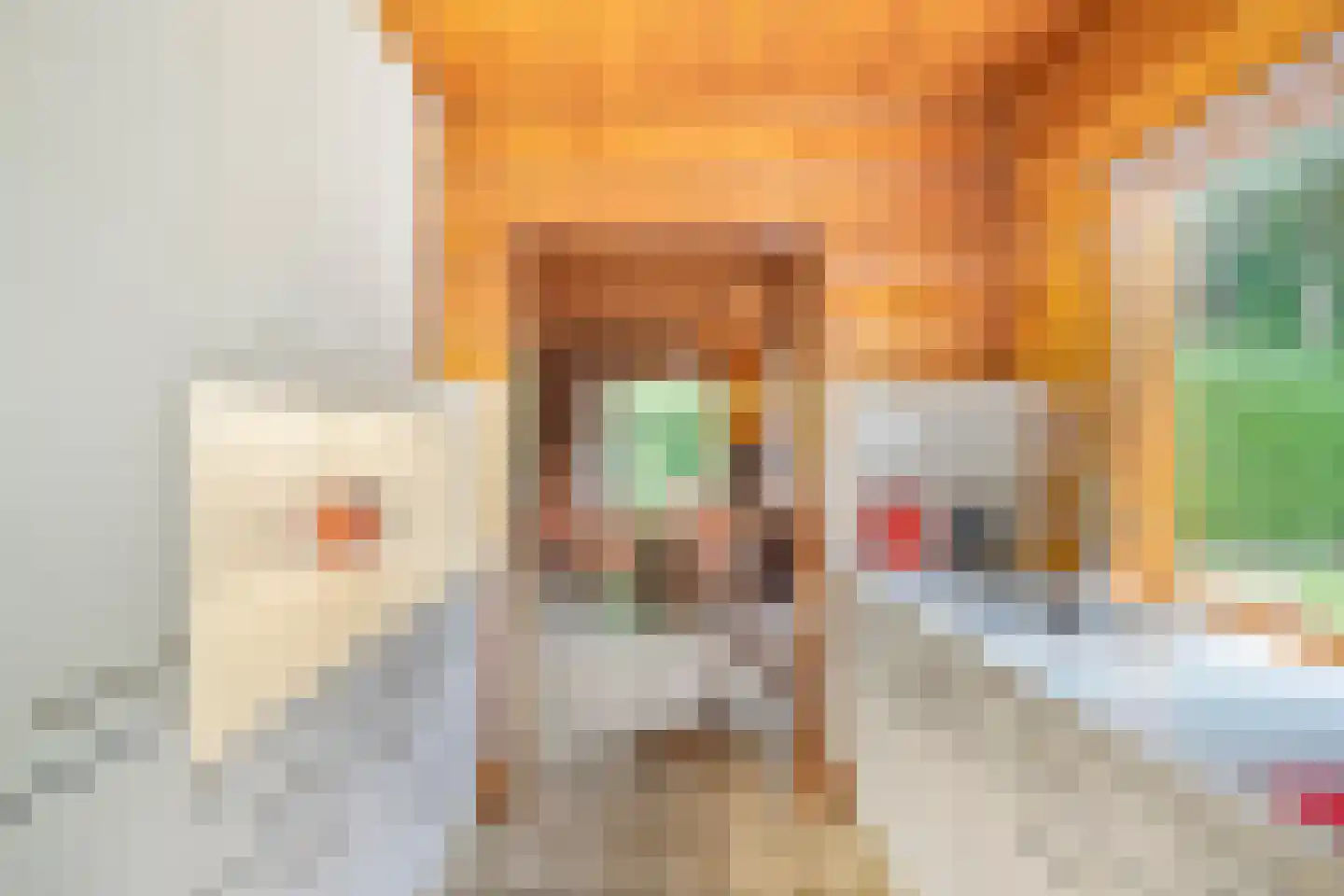 Heilige Stoel 6829 Wijchen thumbnail 20