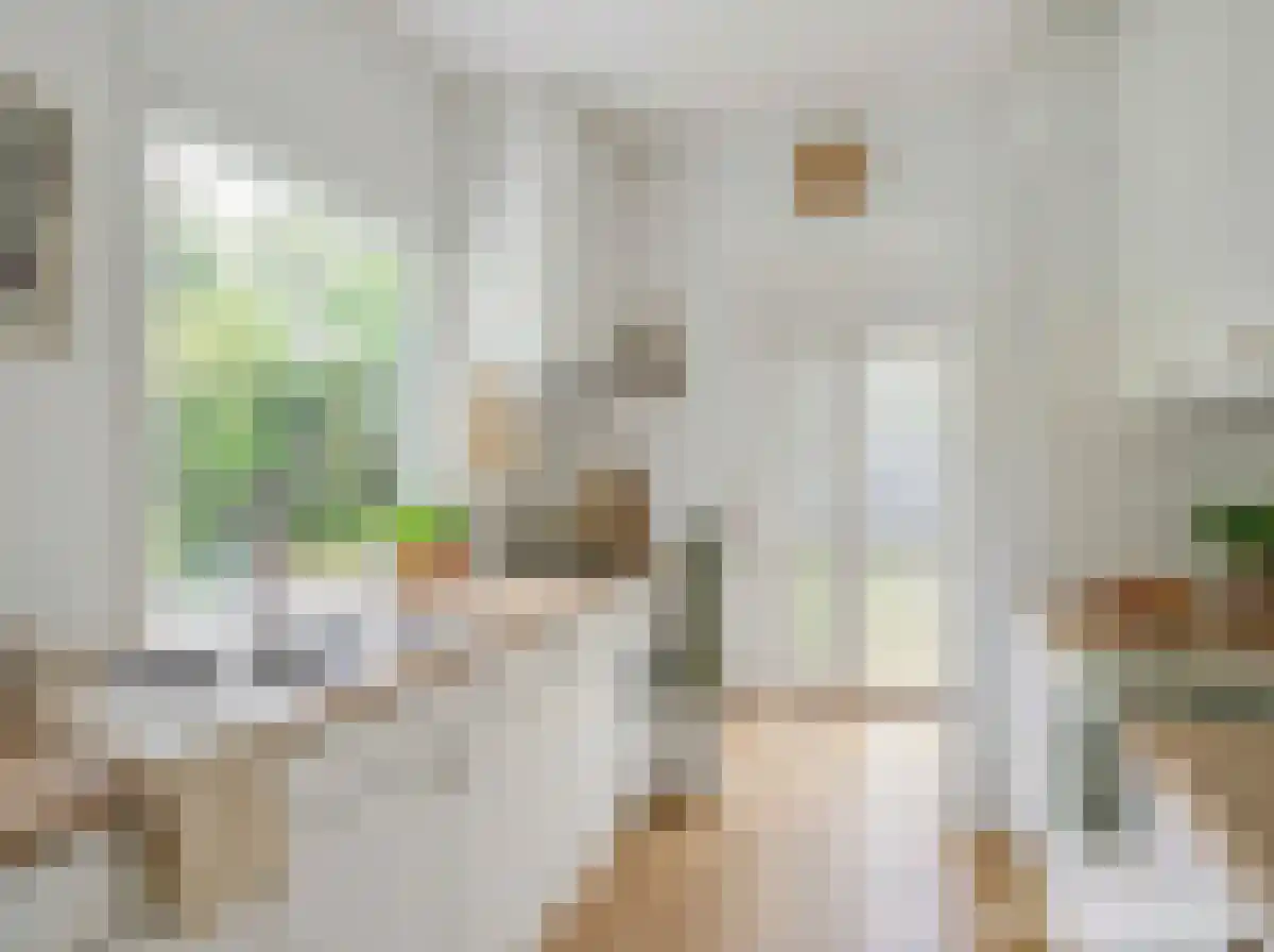 Heilige Stoel 6829 Wijchen thumbnail 23