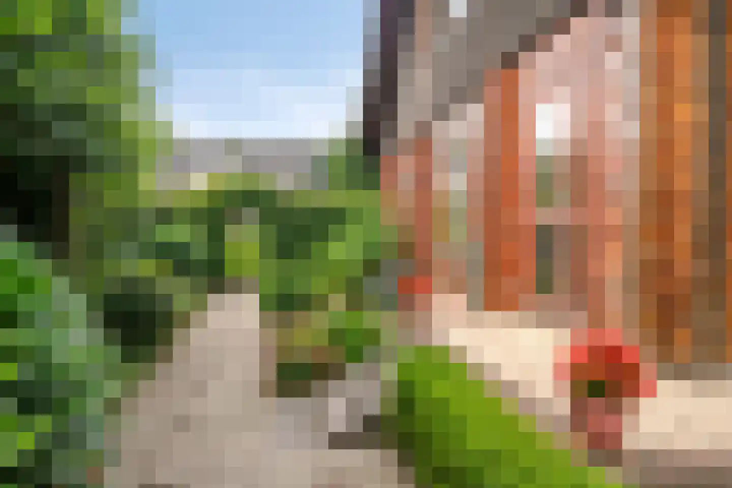 Heilige Stoel 6829 Wijchen thumbnail 25