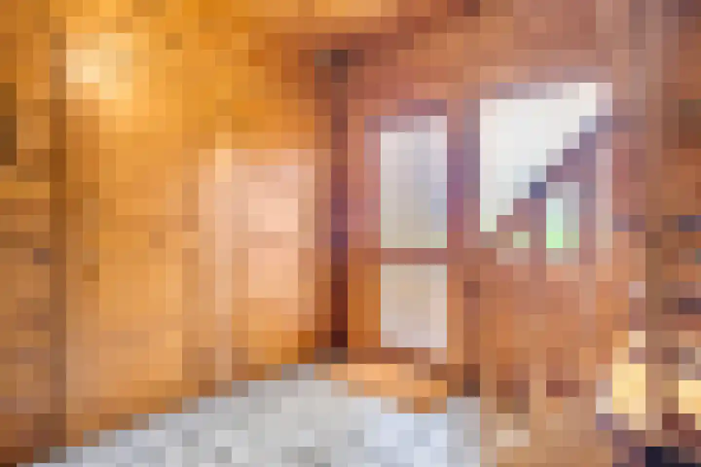 Heilige Stoel 6829 Wijchen thumbnail 26