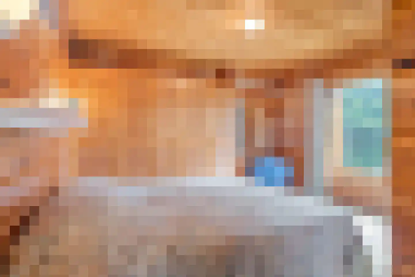 Heilige Stoel 6829 Wijchen thumbnail 30