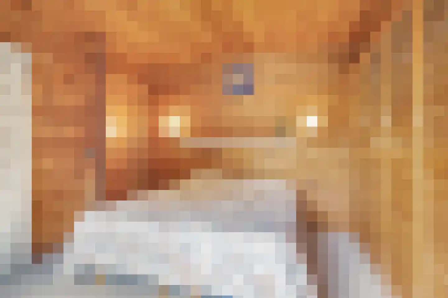Heilige Stoel 6829 Wijchen thumbnail 31