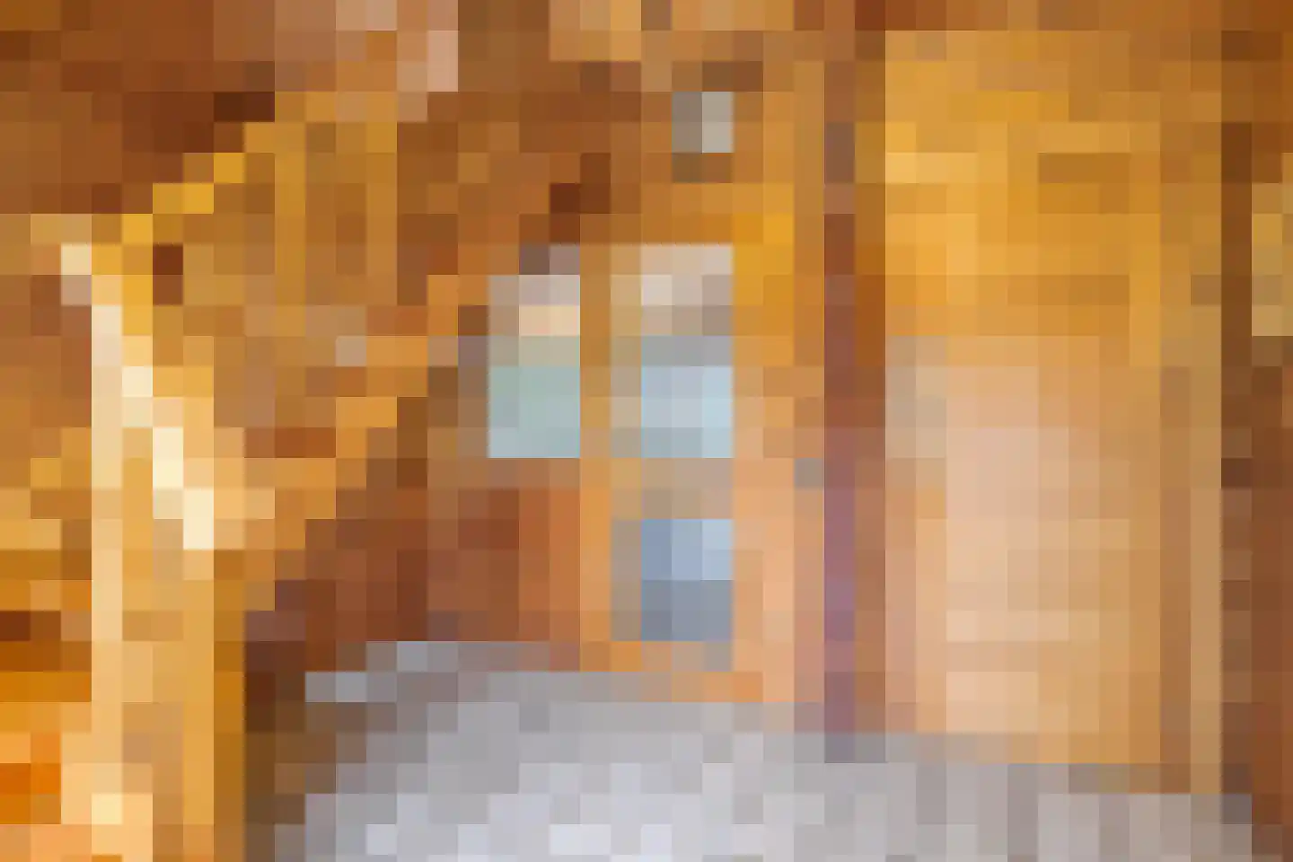 Heilige Stoel 6829 Wijchen thumbnail 32