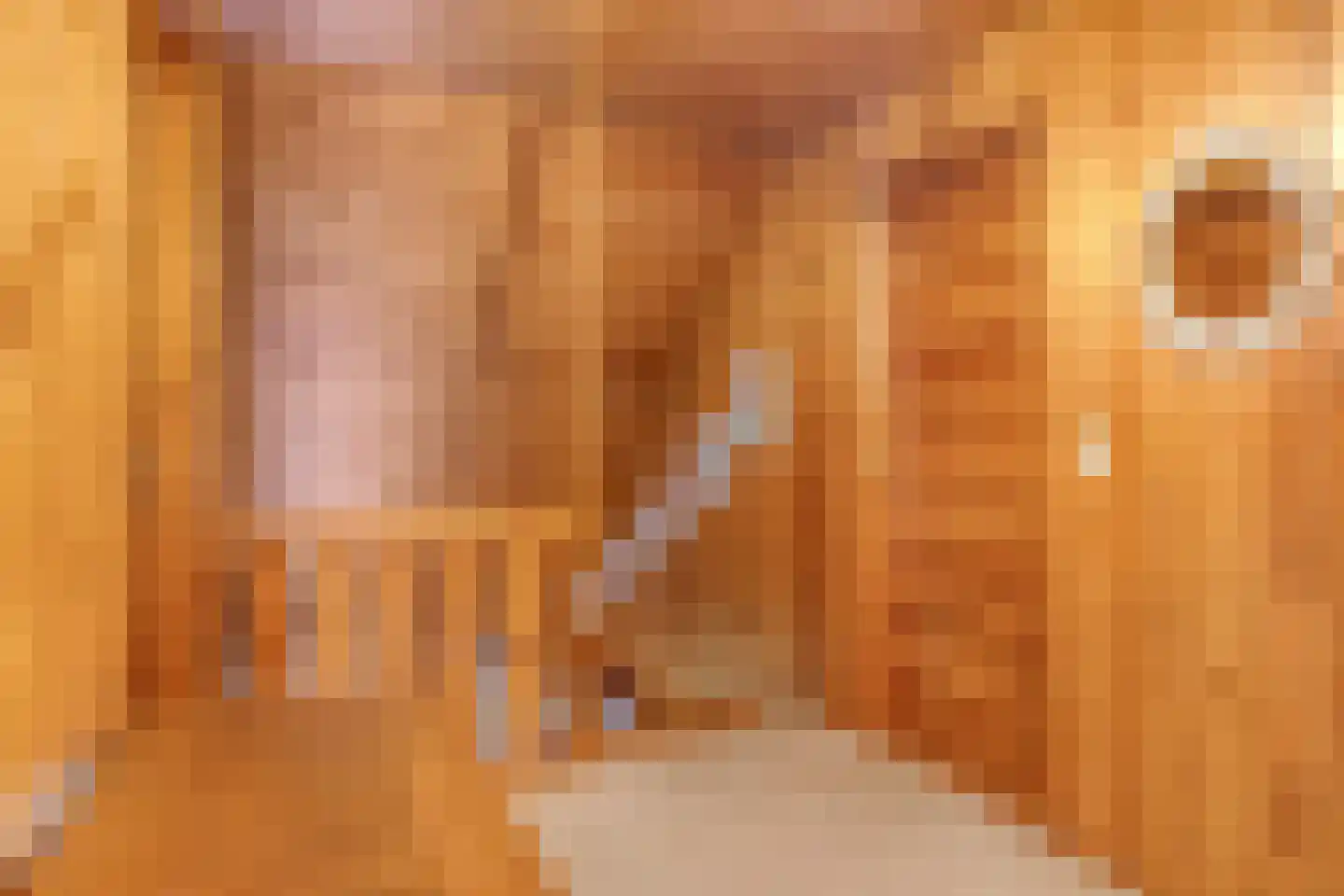 Heilige Stoel 6829 Wijchen thumbnail 33
