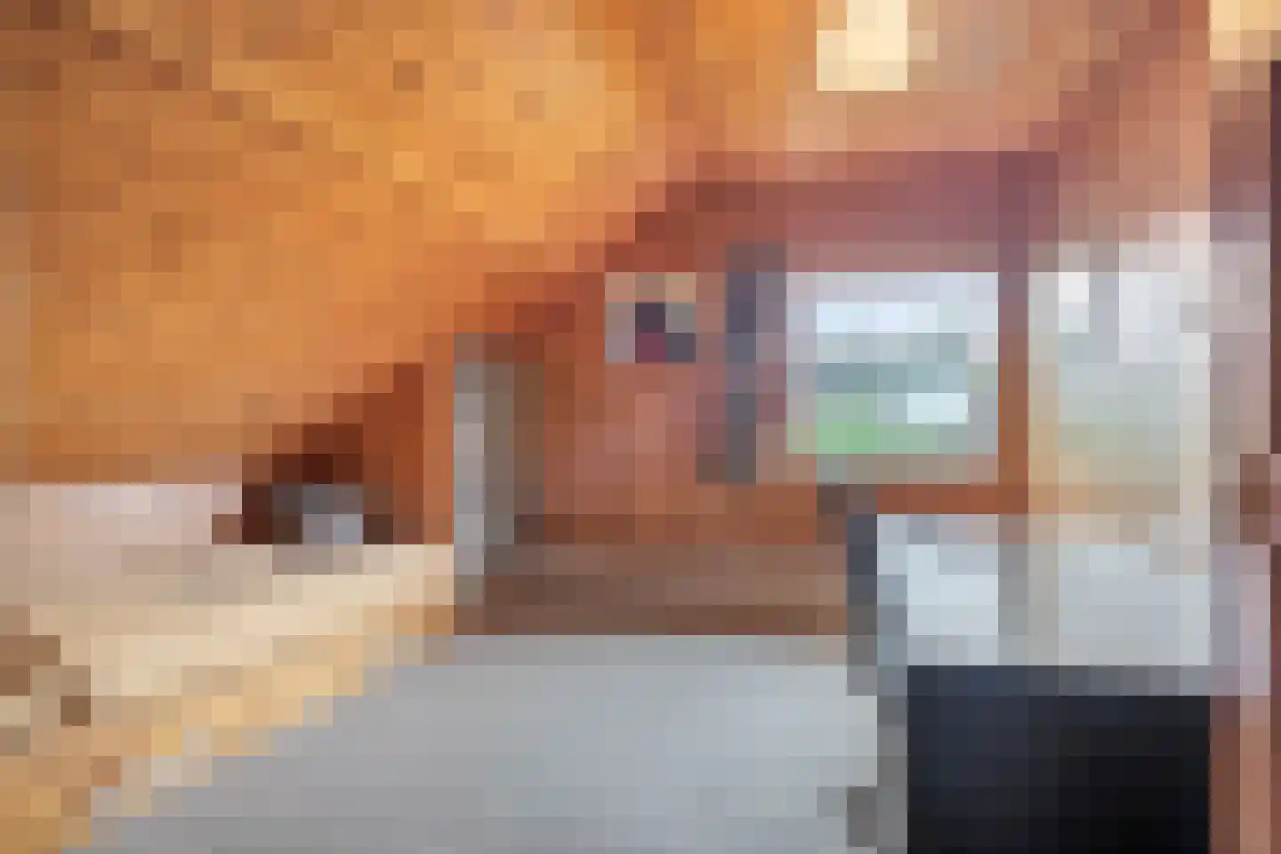 Heilige Stoel 6829 Wijchen thumbnail 34