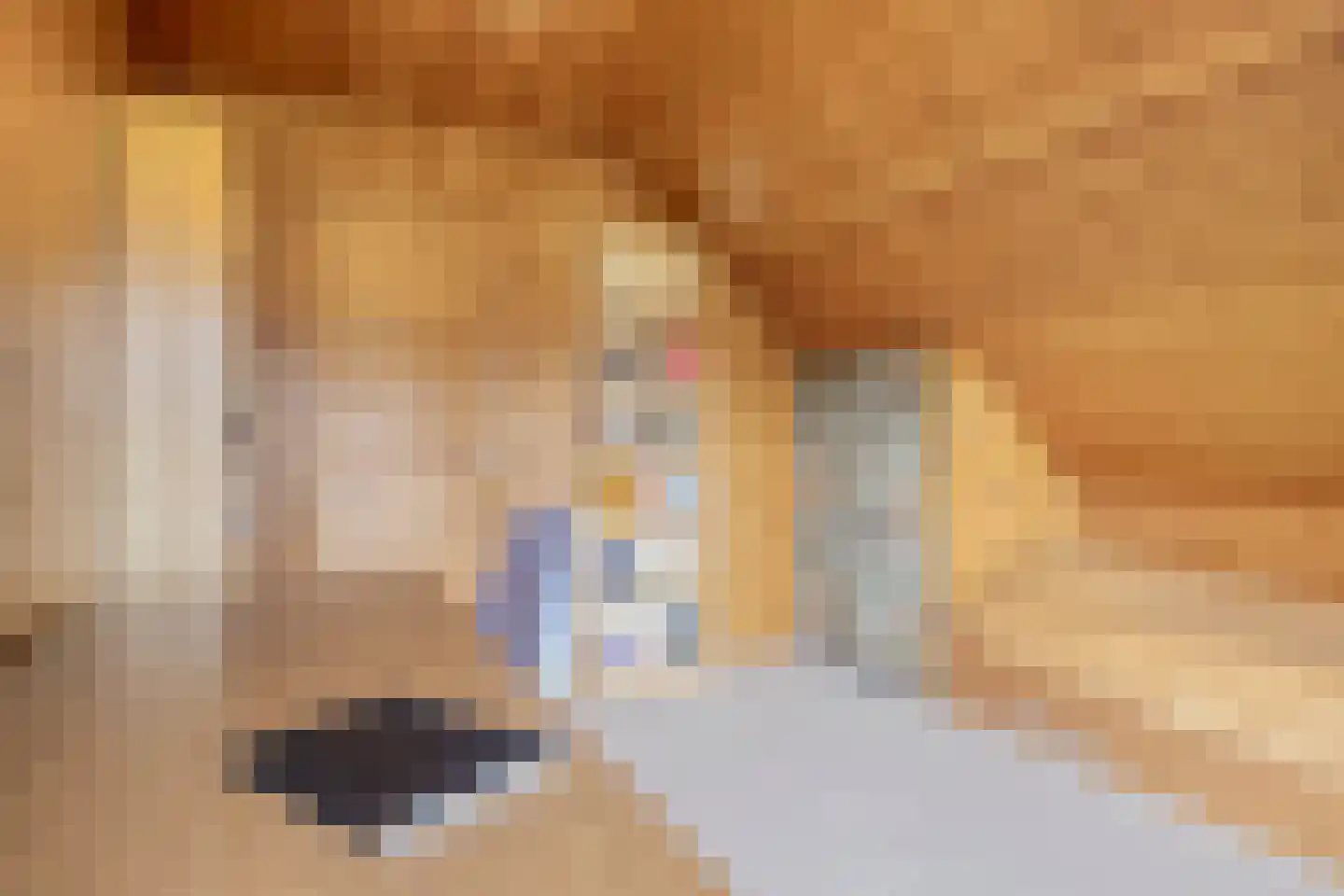 Heilige Stoel 6829 Wijchen thumbnail 35