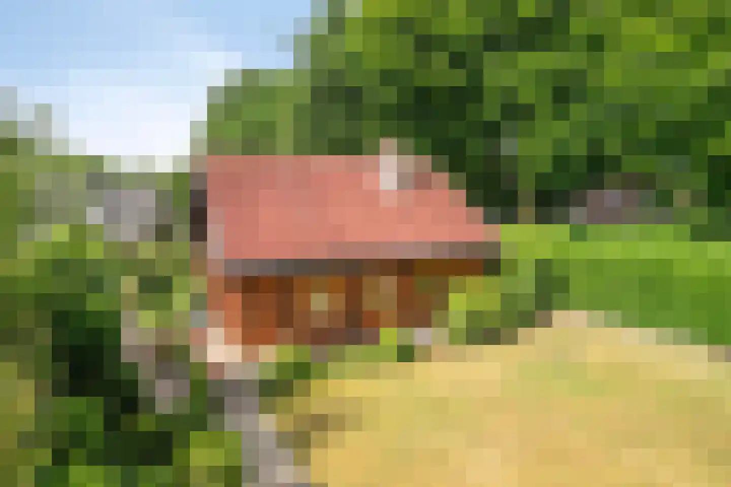 Heilige Stoel 6829 Wijchen thumbnail 43