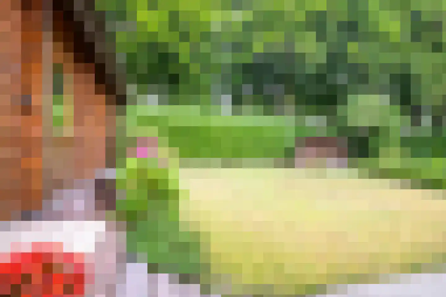 Heilige Stoel 6829 Wijchen thumbnail 44