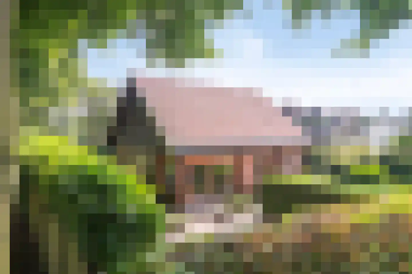 Heilige Stoel 6829 Wijchen thumbnail 45