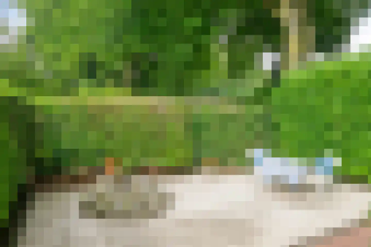 Heilige Stoel 6829 Wijchen thumbnail 46