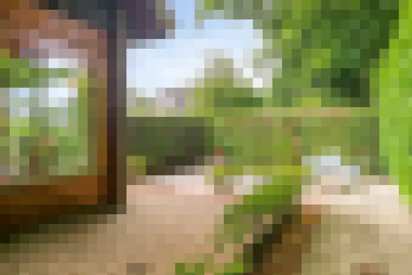Heilige Stoel 6829 Wijchen thumbnail 47