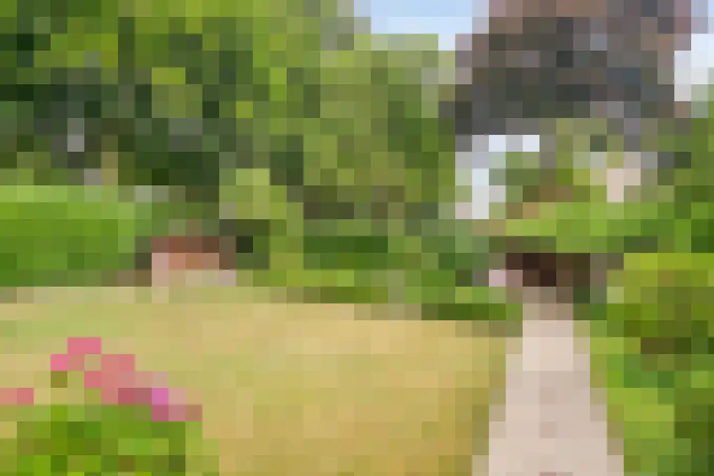 Heilige Stoel 6829 Wijchen thumbnail 50