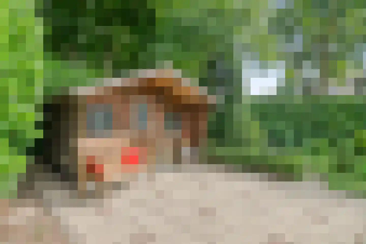 Heilige Stoel 6829 Wijchen thumbnail 52