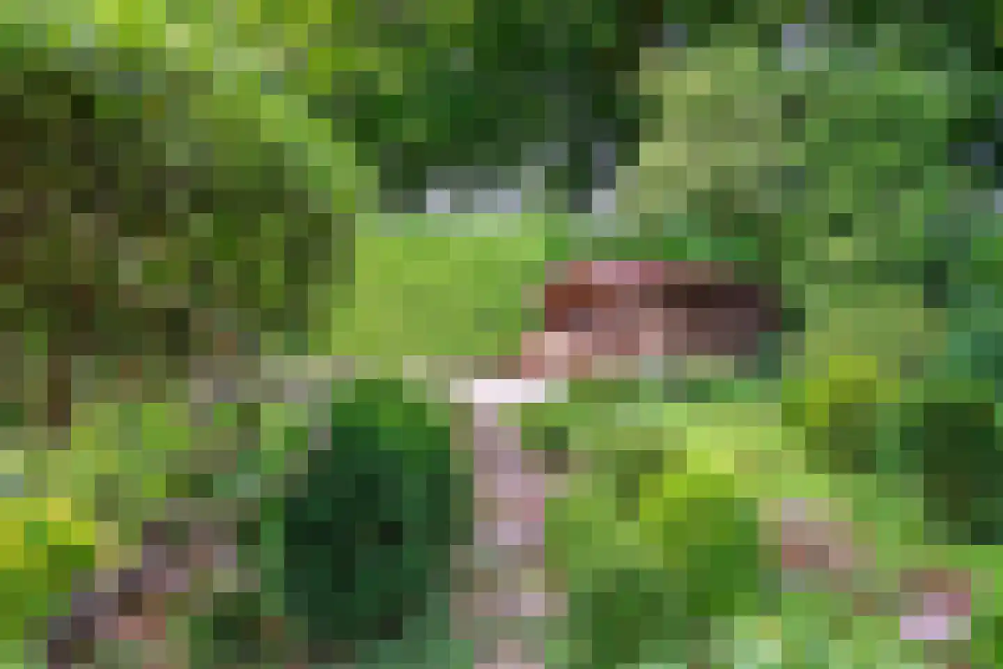 Heilige Stoel 6829 Wijchen thumbnail 53