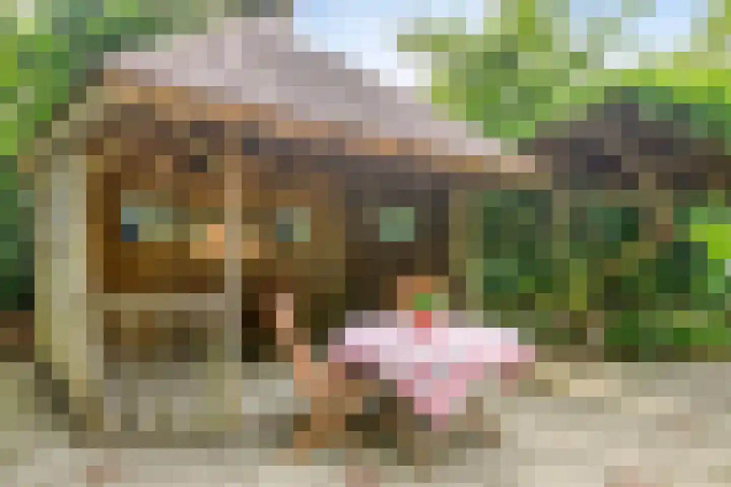 Heilige Stoel 6829 Wijchen thumbnail 55