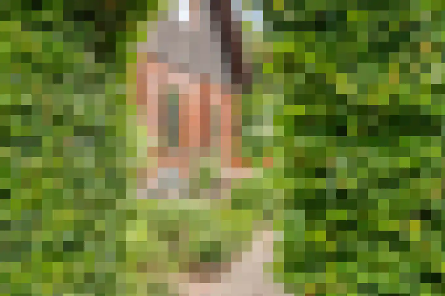 Heilige Stoel 6829 Wijchen thumbnail 57