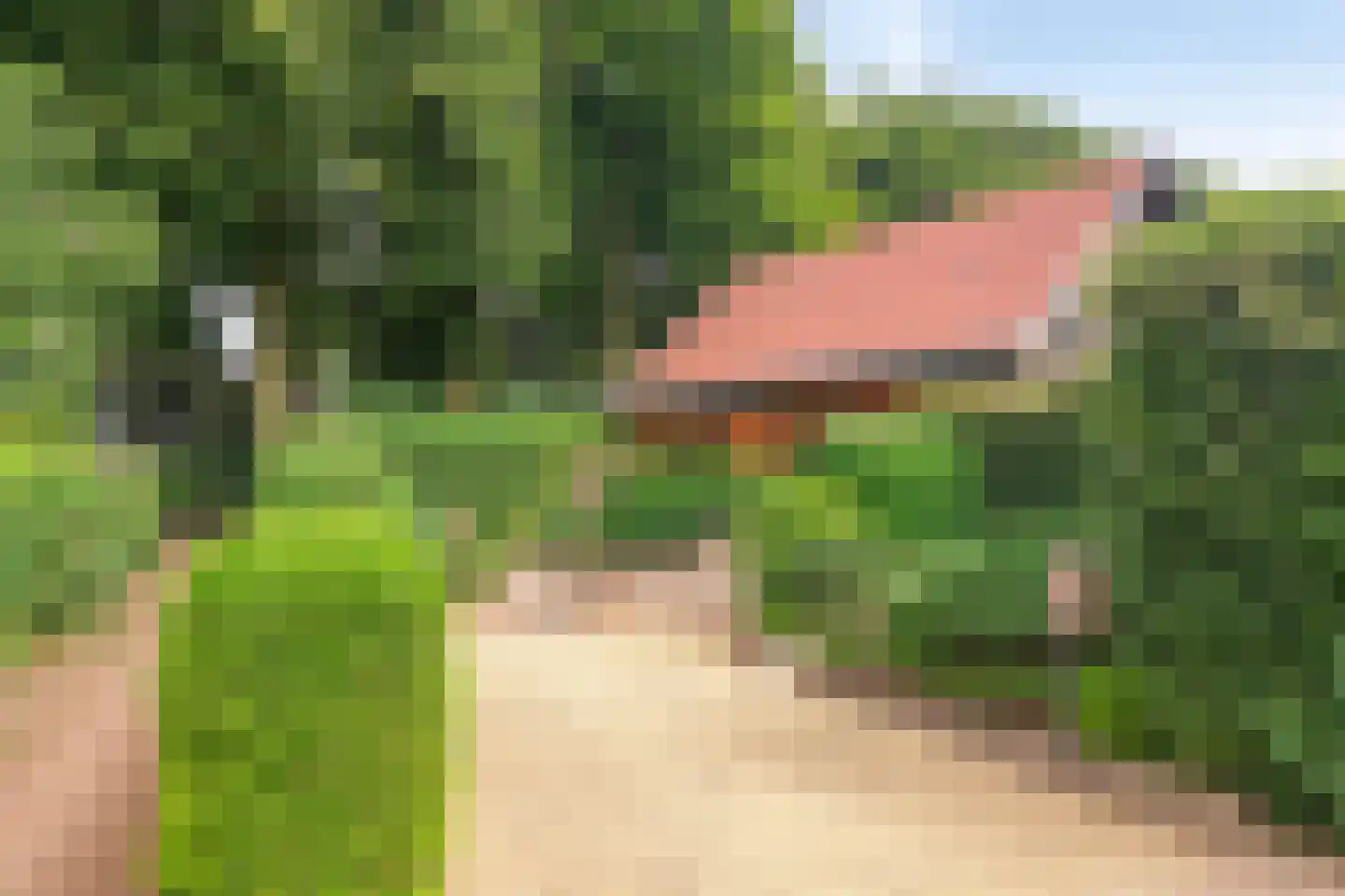 Heilige Stoel 6829 Wijchen thumbnail 58