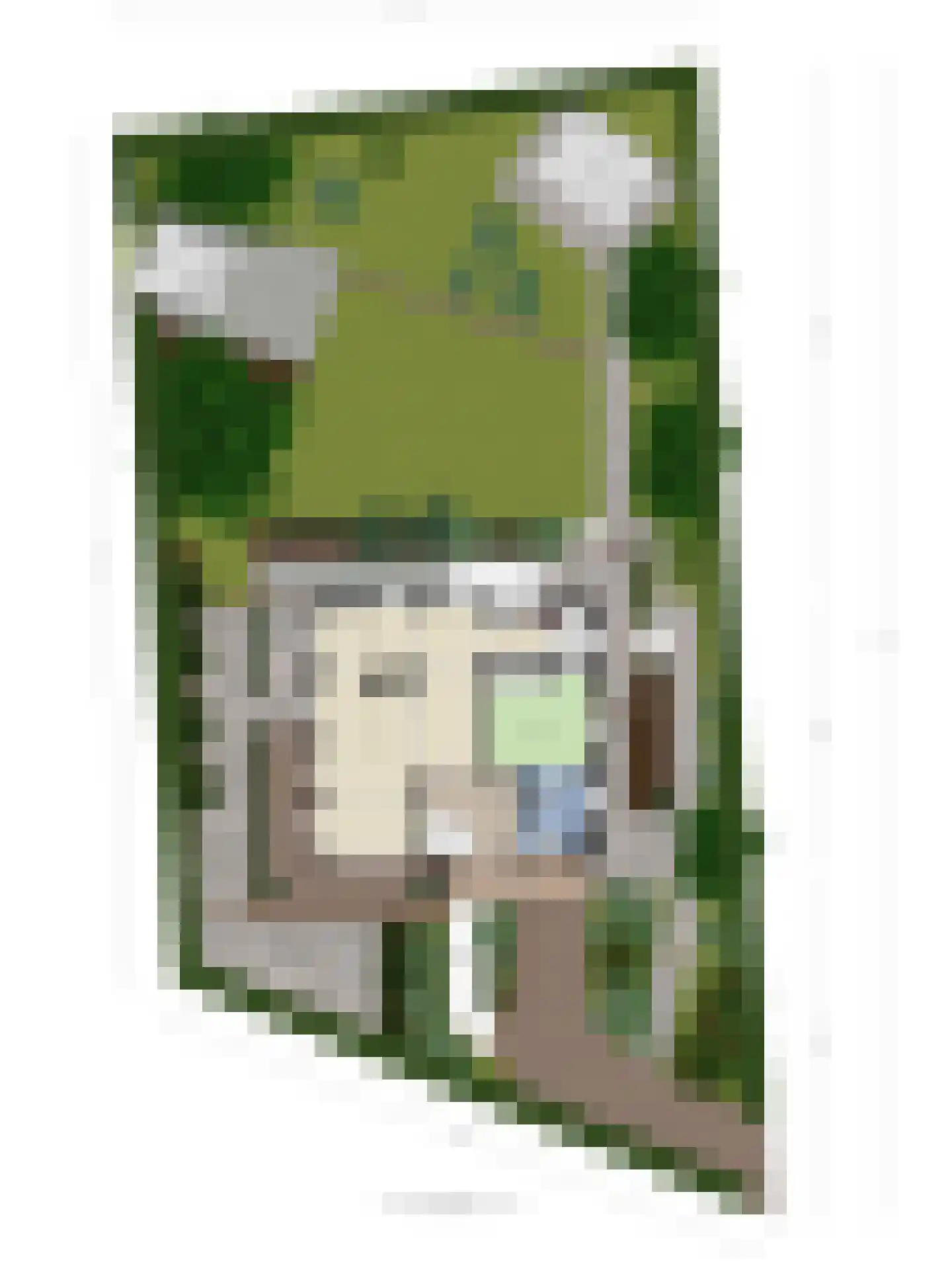 Heilige Stoel 6829 Wijchen thumbnail 63