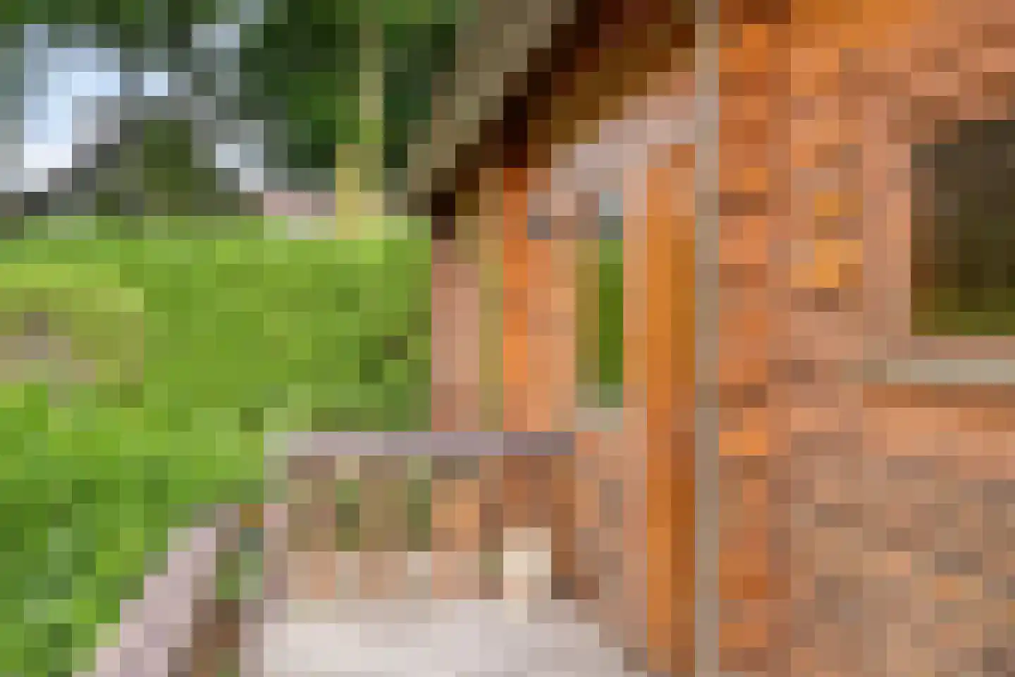 Heilige Stoel 6829 Wijchen thumbnail 9