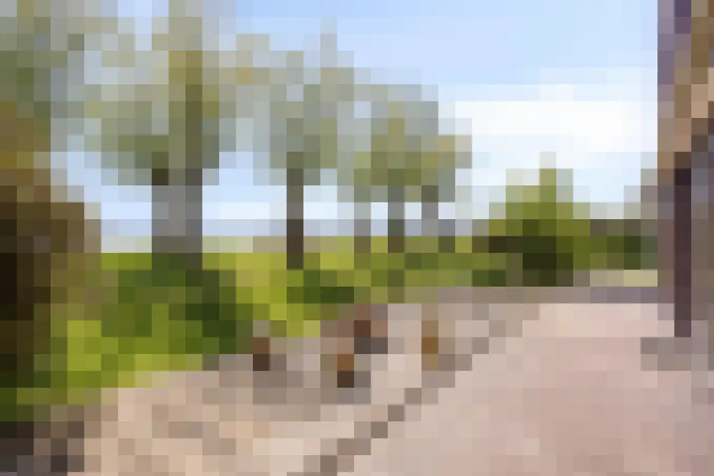 Heiligegeestlaan 32 Rijnsaterwoude thumbnail 13