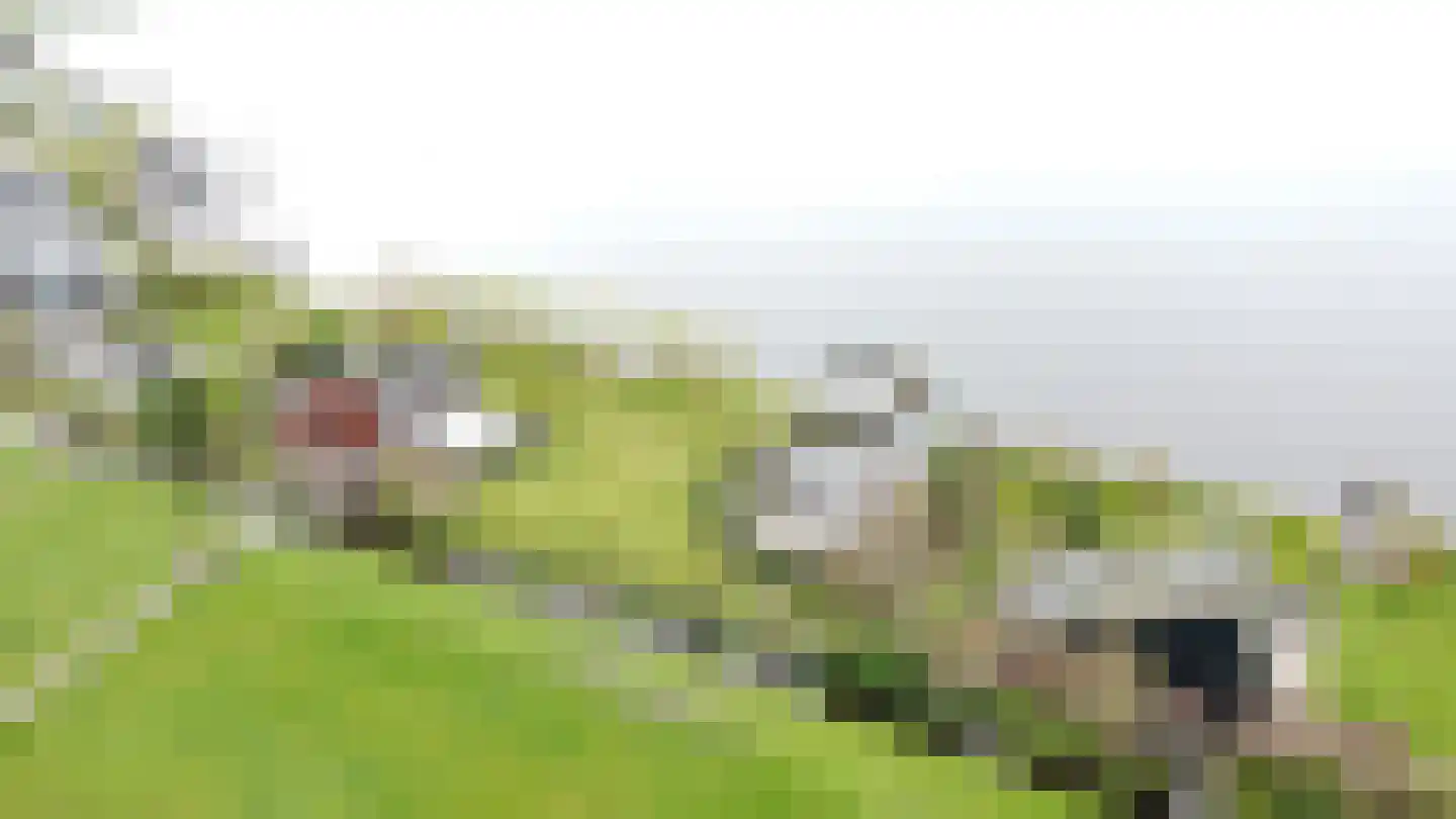 Heiligegeestlaan 32 Rijnsaterwoude thumbnail 19