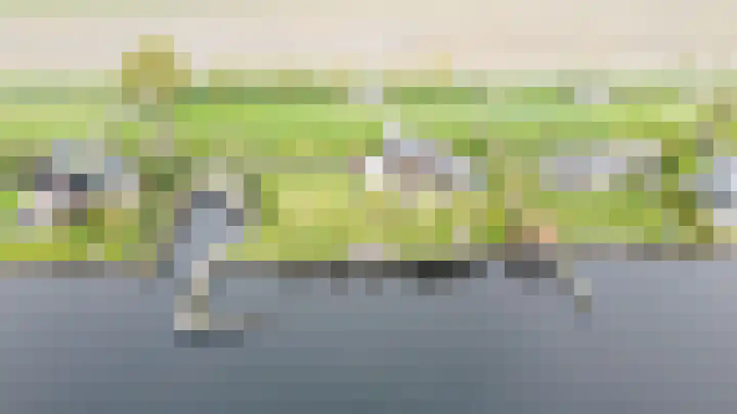Heiligegeestlaan 32 Rijnsaterwoude thumbnail 20