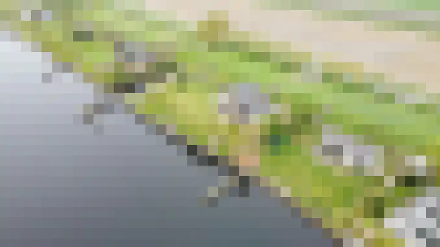 Heiligegeestlaan 32 Rijnsaterwoude thumbnail 21