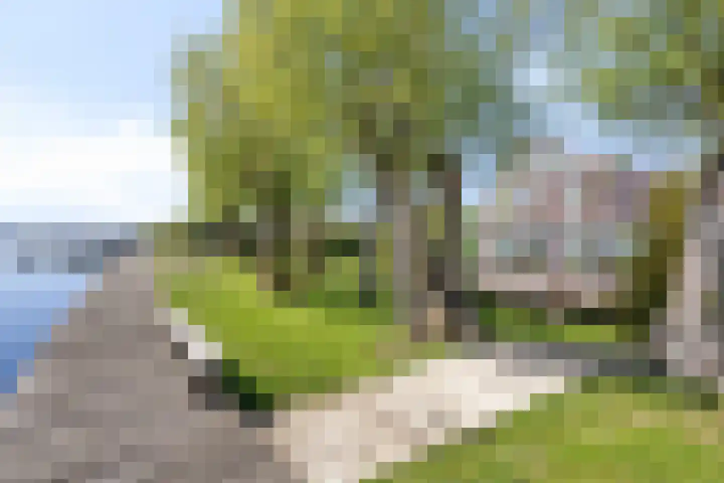 Heiligegeestlaan 32 Rijnsaterwoude foto 3
