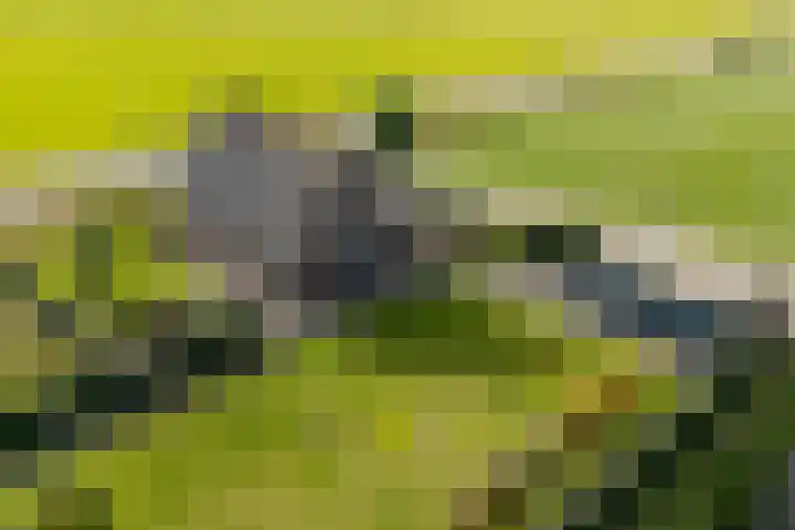 Heiligegeestlaan 5 Leimuiden