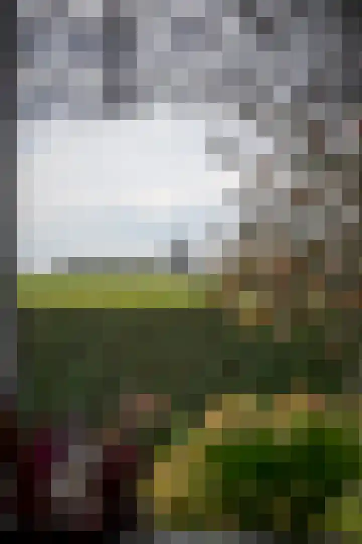 Heiligegeestlaan 5 Leimuiden thumbnail 13