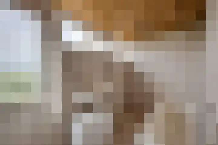 Heiligegeestlaan 5 Leimuiden thumbnail 28