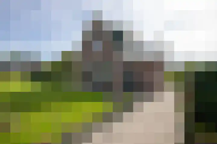Heiligegeestlaan 5 Leimuiden thumbnail 32