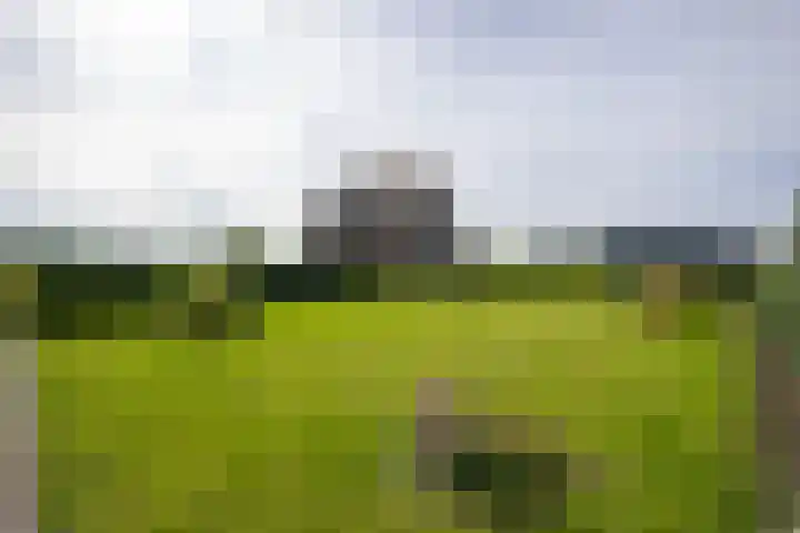 Heiligegeestlaan 5 Leimuiden thumbnail 34
