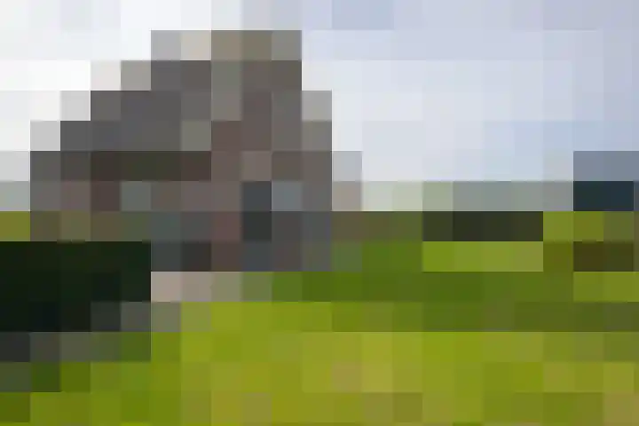 Heiligegeestlaan 5 Leimuiden thumbnail 35