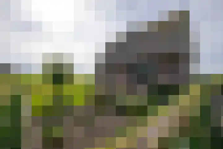 Heiligegeestlaan 5 Leimuiden thumbnail 36