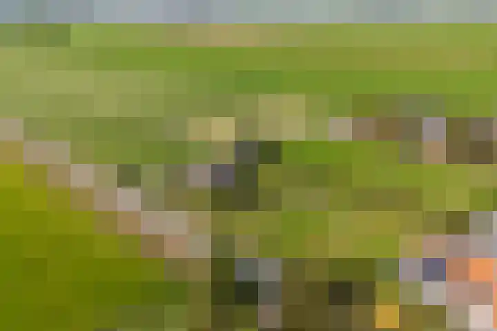 Heiligegeestlaan 5 Leimuiden thumbnail 4