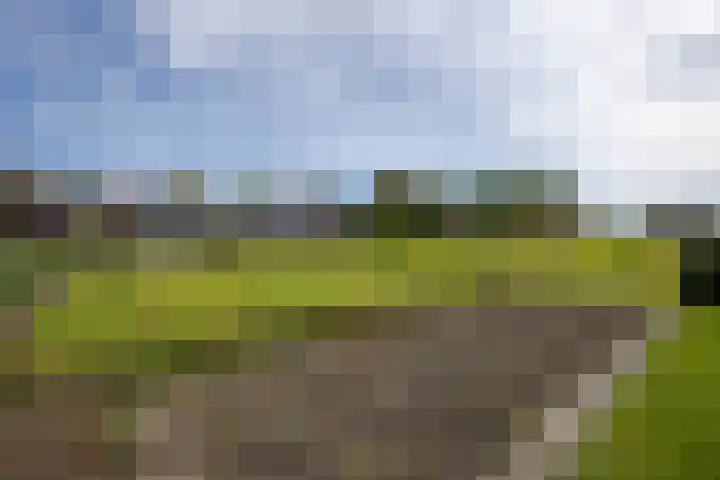 Heiligegeestlaan 5 Leimuiden thumbnail 40