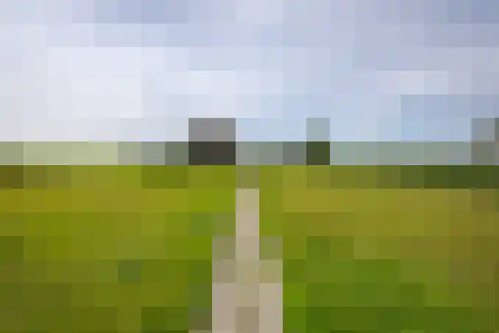 Heiligegeestlaan 5 Leimuiden thumbnail 41