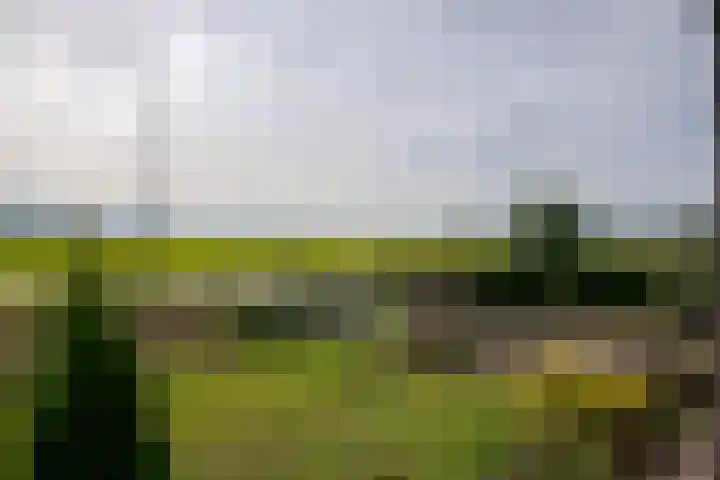 Heiligegeestlaan 5 Leimuiden thumbnail 42