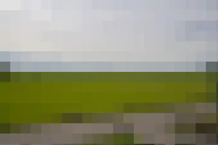 Heiligegeestlaan 5 Leimuiden thumbnail 43